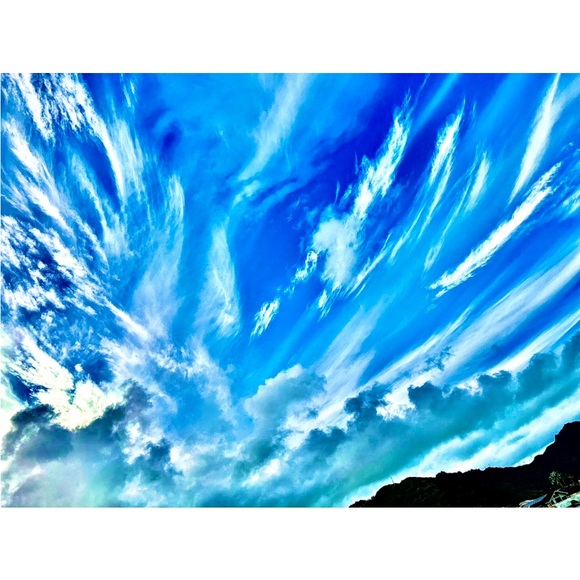 Meet your Posher, Kristin - Picture 10 of 14